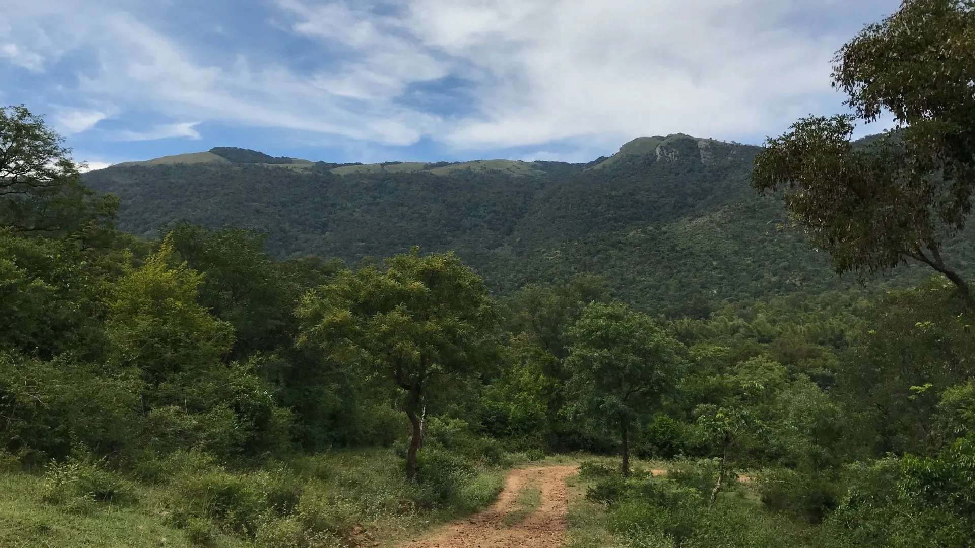 BR Hills